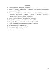 Akceleracijos problematika 15 puslapis