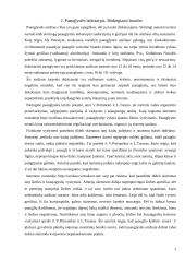 Akceleracijos problematika 3 puslapis