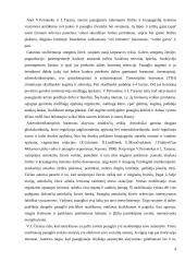 Akceleracijos problematika 4 puslapis