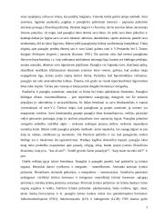 Akceleracijos problematika 5 puslapis