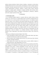 Akceleracijos problematika 6 puslapis