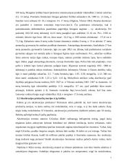 Akceleracijos problematika 7 puslapis