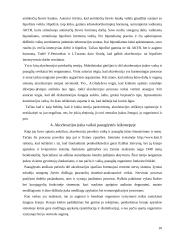 Akceleracijos problematika 10 puslapis