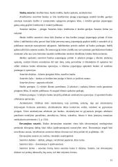 Asmenų pasikeitimas sutartinėje prievolėje 12 puslapis