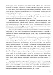 Asmenų pasikeitimas sutartinėje prievolėje 17 puslapis
