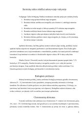 Berniukų raidos trikdžiai ankstyvojoje vaikystėje 6 puslapis