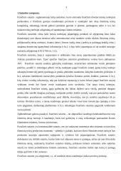 Frančizės sutartis 2 puslapis