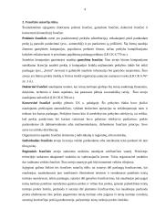 Frančizės sutartis 3 puslapis