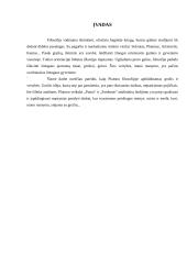 Grožis, vertybės ir svarbios dorybės Platono filosofijoje 3 puslapis