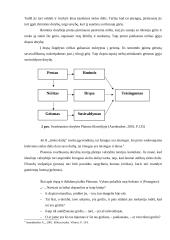 Grožis, vertybės ir svarbios dorybės Platono filosofijoje 10 puslapis