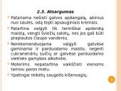 Indijos geografija 12 puslapis