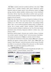 Informacijos paieška 20 puslapis