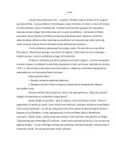 Informacijos saugumas 2 puslapis