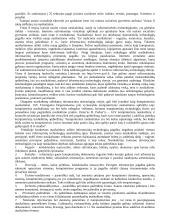 Informacijos technologijos ir nusikaltimai 4 puslapis