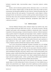 Informacinė visuomenė ir informacinės visuomenės plėtra Lietuvoje 11 puslapis