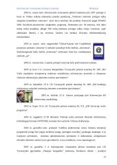 Informacinės visuomenės kūrimas Lietuvoje 12 puslapis