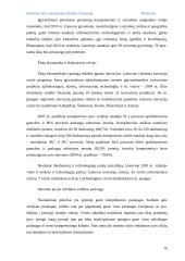 Informacinės visuomenės kūrimas Lietuvoje 16 puslapis