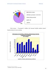 Informacinės visuomenės kūrimas Lietuvoje 10 puslapis