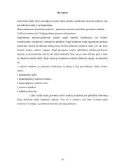 Komercinės sutarties pagal Lietuvos Respublikos (LR) Civilinio Kodekso (CK) normų reikalavimus parengimas ir sutarties teisinė a 20 puslapis