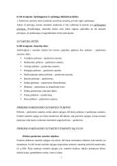 Komercinės sutarties pagal Lietuvos Respublikos (LR) Civilinio Kodekso (CK) normų reikalavimus parengimas ir sutarties teisinė a 7 puslapis