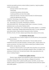 Komunikacija tarptautiniame versle 13 puslapis