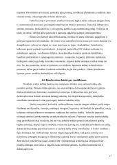 Komunikacija tarptautiniame versle 17 puslapis