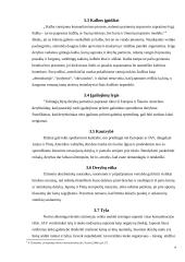 Komunikacija tarptautiniame versle 9 puslapis