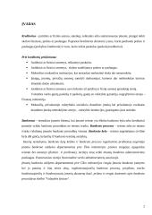 Kreditorių teisės bankroto byloje 2 puslapis