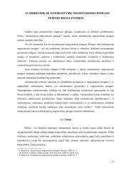 Mokėjimo ir atsiskaitymo samprata 12 puslapis