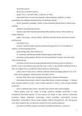 Mokėjimo ir atsiskaitymo samprata 6 puslapis