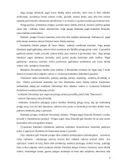 Mokėjimo ir atsiskaitymo samprata 8 puslapis