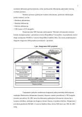Muitinės informacinė sistema 7 puslapis