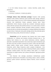Ontologijų naudojimas žinių inžinerijoje 11 puslapis