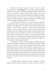 Ontologijų naudojimas žinių inžinerijoje 13 puslapis