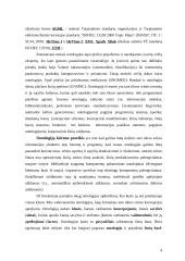 Ontologijų naudojimas žinių inžinerijoje 9 puslapis