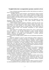 Paauglių asmenybės bei konfliktai su tėvais 2 puslapis
