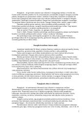 Problemų gausa paauglystėje 2 puslapis