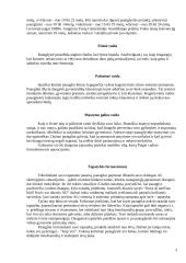 Problemų gausa paauglystėje 3 puslapis