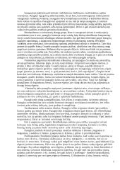 Problemų gausa paauglystėje 5 puslapis