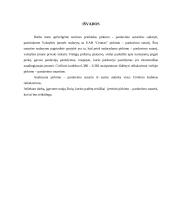 Pirkimo-pardavimo sutarties sąlygų teisinė analizė 6 puslapis