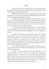 Racionalių sprendimų teorija ir jai įtaką darantys veiksniai 12 puslapis