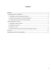 Reklamos reikšmė saugant sąžiningos konkurencijos laisvę 2 puslapis