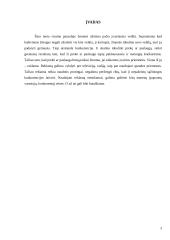 Reklamos reikšmė saugant sąžiningos konkurencijos laisvę 3 puslapis