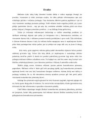 Reklamos teisinis reguliavimas 12 puslapis