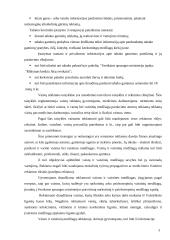 Reklamos teisinis reguliavimas 5 puslapis