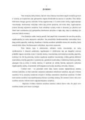 Sandoriai ir jų rūšys 2 puslapis