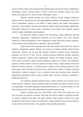 Sandoriai ir jų rūšys 11 puslapis