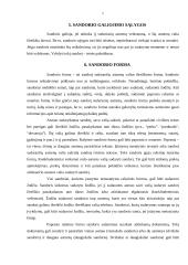 Sandoriai ir jų rūšys 5 puslapis