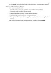 Senatvė - socialinis, psichologinis procesas 3 puslapis