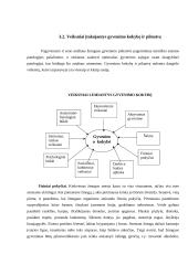 Senų žmonių gyvenimo kokybės vertinimas 14 puslapis
